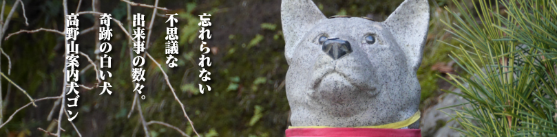高野山案内犬ゴのン