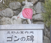 慈尊院の案内犬ゴン