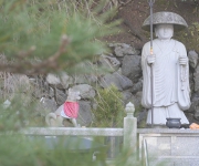 案内犬ゴンと弘法大師